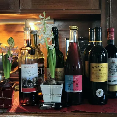 住宿加早餐酒店 亚斯里贝康住宿加早餐旅馆 4*