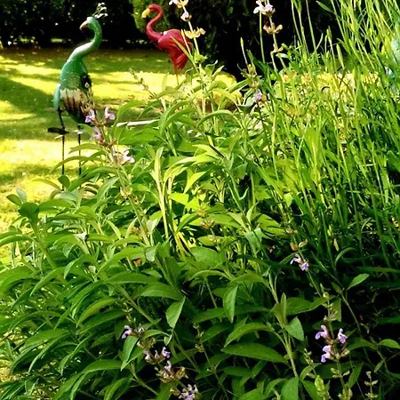 Bed & Breakfast Le Balcon Des Jasses Espere