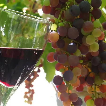 亚斯里贝康住宿加早餐旅馆 4*