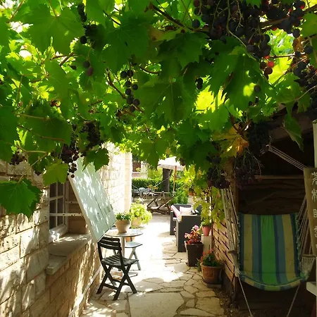 Le Balcon Des Jasses Bed & Breakfast Espere