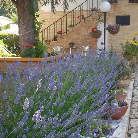 Le Balcon Des Jasses