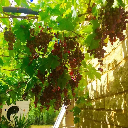 住宿加早餐酒店 亚斯里贝康住宿加早餐旅馆 4*