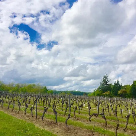 亚斯里贝康住宿加早餐旅馆 Espere
