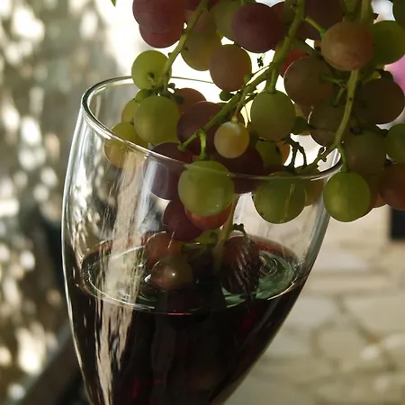 住宿加早餐酒店 亚斯里贝康住宿加早餐旅馆