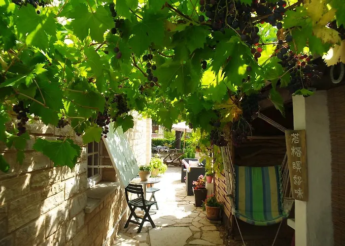 Le Balcon Des Jasses Bed & Breakfast Espere