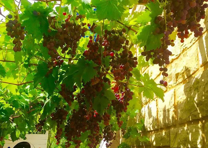 Bed & Breakfast Le Balcon Des Jasses 4*