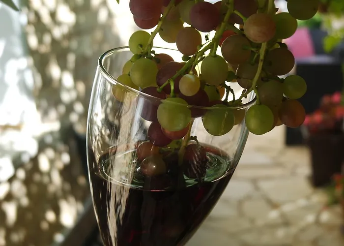 Bed & Breakfast Le Balcon Des Jasses